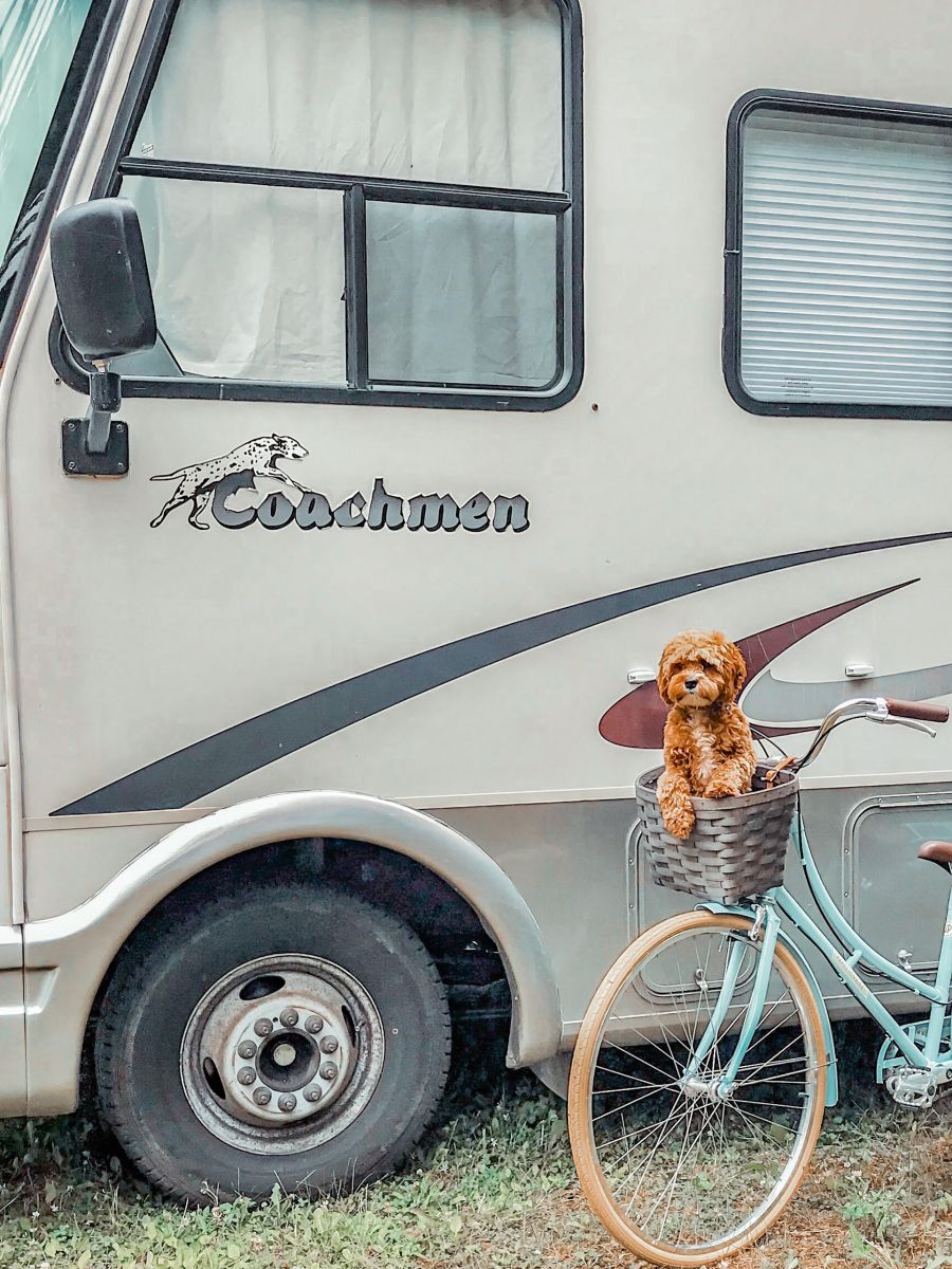 Motorhome Revovations