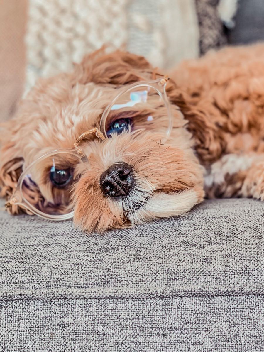 Books I’ve Read During “The&nbsp;Q”